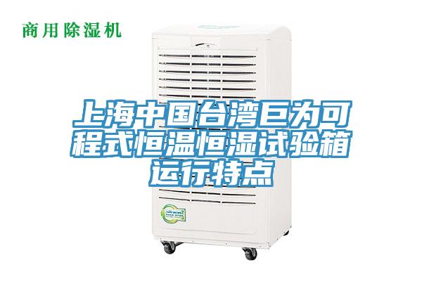 上海中國(guó)臺(tái)灣巨為可程式恒溫恒濕試驗(yàn)箱運(yùn)行特點(diǎn)
