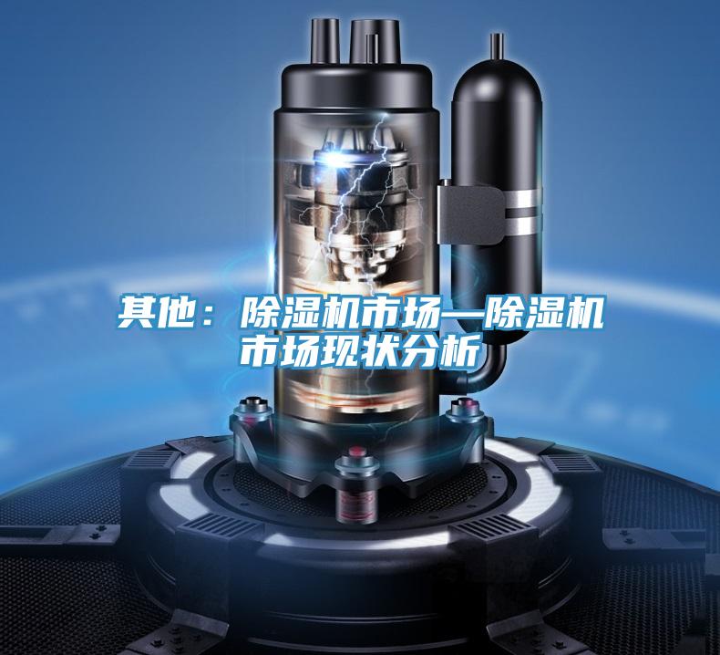 其他：除濕機市場—除濕機市場現(xiàn)狀分析