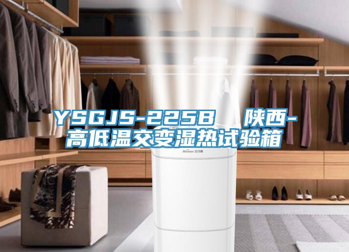 YSGJS-225B  陜西-高低溫交變濕熱試驗(yàn)箱