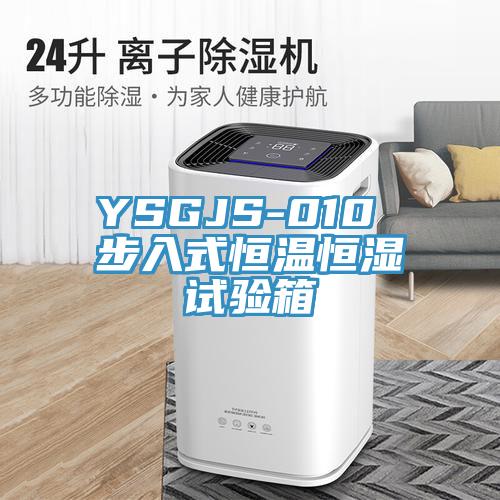 YSGJS-010 步入式恒溫恒濕試驗(yàn)箱