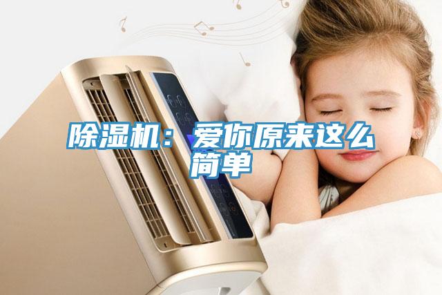 除濕機(jī)：愛你原來這么簡(jiǎn)單