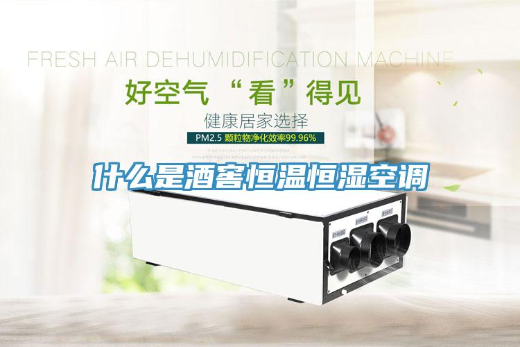 什么是酒窖恒溫恒濕空調(diào)