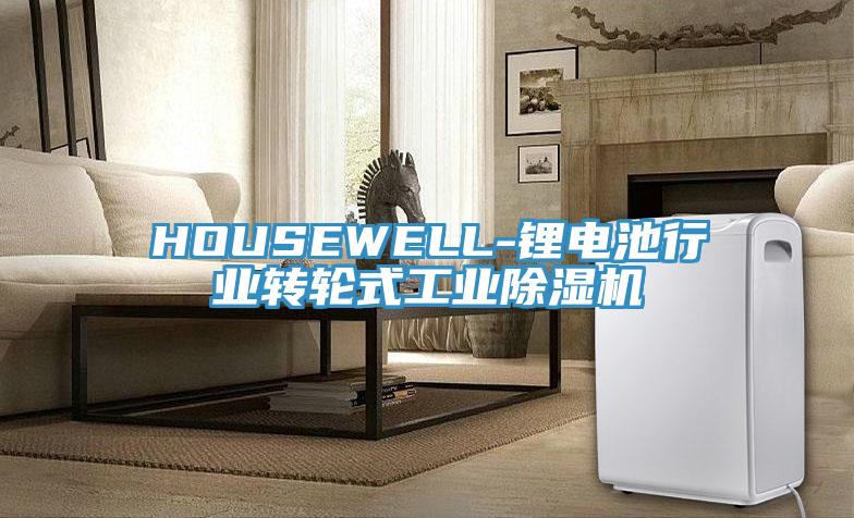 HOUSEWELL-鋰電池行業(yè)轉(zhuǎn)輪式工業(yè)除濕機(jī)