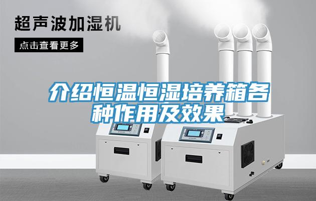 介紹恒溫恒濕培養(yǎng)箱各種作用及效果