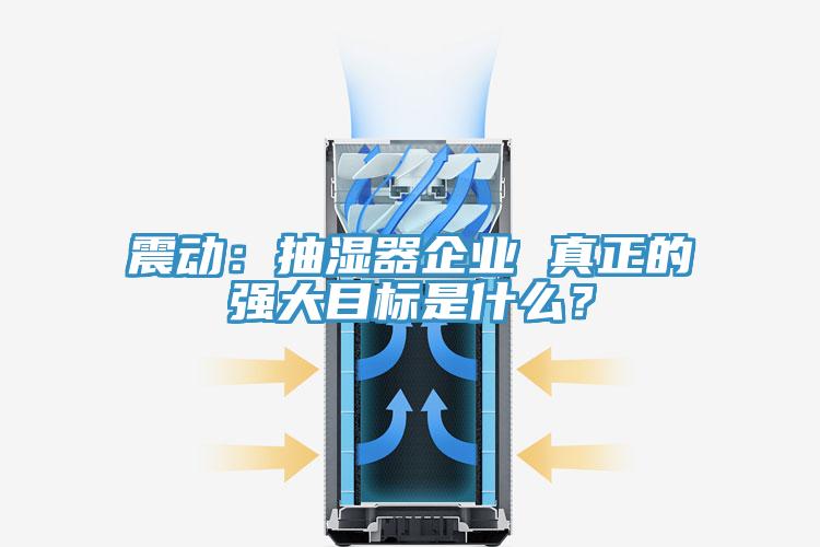 震動：抽濕器企業(yè) 真正的強(qiáng)大目標(biāo)是什么？