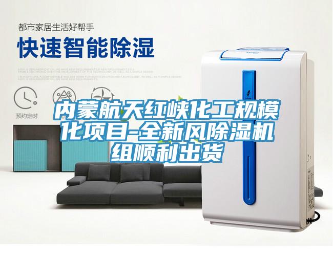 內(nèi)蒙航天紅峽化工規(guī)?；椖?全新風(fēng)除濕機組順利出貨