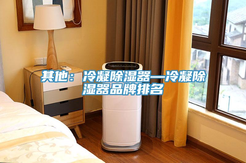 其他：冷凝除濕器—冷凝除濕器品牌排名