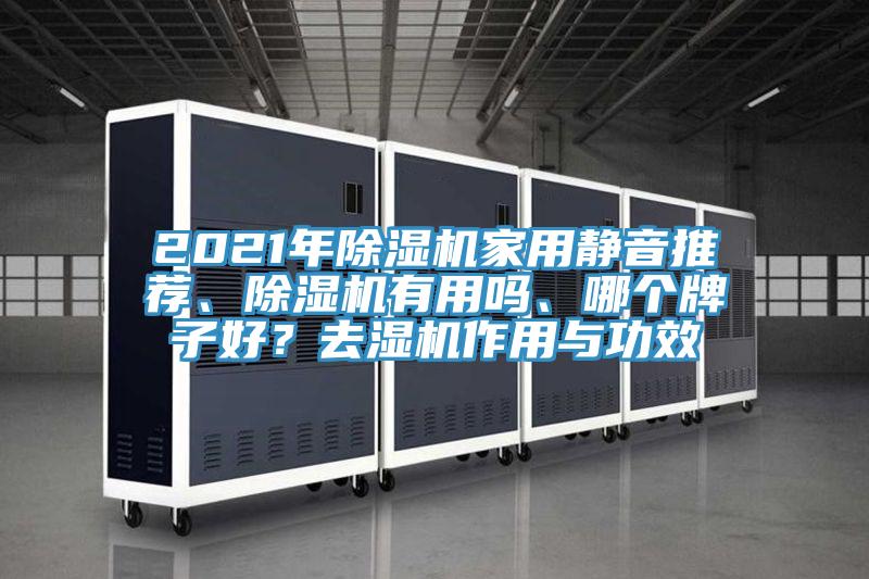 2021年除濕機家用靜音推薦、除濕機有用嗎、哪個牌子好？去濕機作用與功效