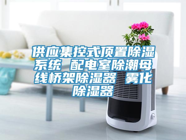 供應(yīng)集控式頂置除濕系統(tǒng) 配電室除潮母線橋架除濕器 霧化除濕器