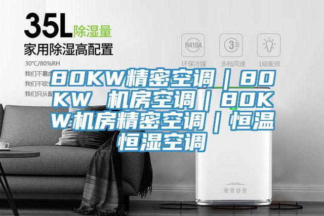 80KW精密空調(diào)｜80KW 機(jī)房空調(diào)｜80KW機(jī)房精密空調(diào)｜恒溫恒濕空調(diào)