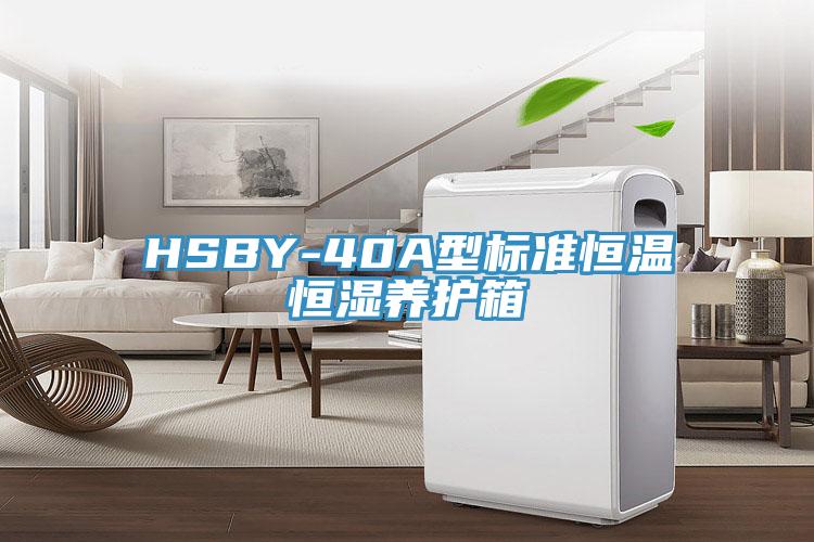 HSBY-40A型標(biāo)準(zhǔn)恒溫恒濕養(yǎng)護(hù)箱