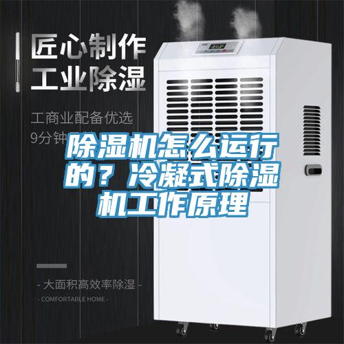 除濕機怎么運行的？冷凝式除濕機工作原理