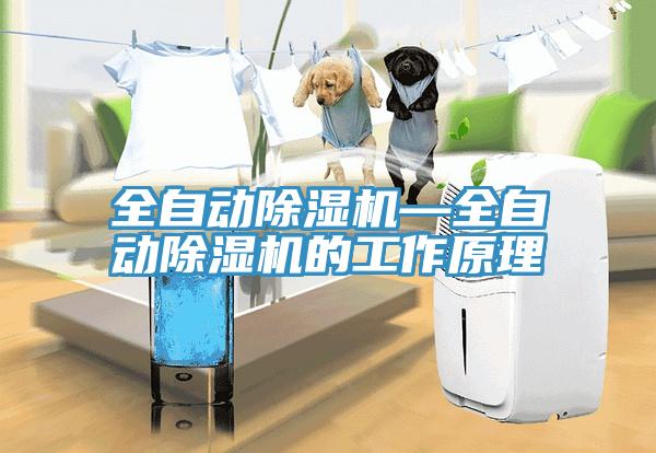 全自動(dòng)除濕機(jī)—全自動(dòng)除濕機(jī)的工作原理