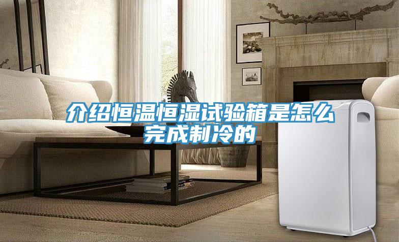 介紹恒溫恒濕試驗(yàn)箱是怎么完成制冷的