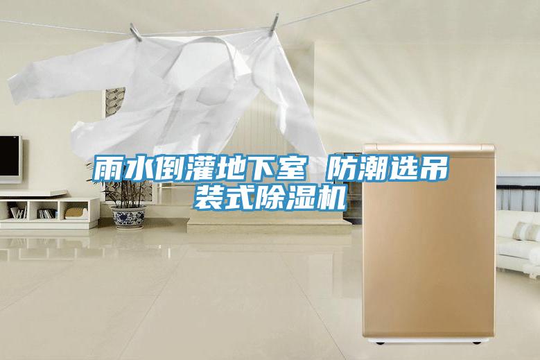 雨水倒灌地下室 防潮選吊裝式除濕機(jī)
