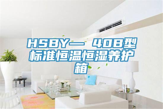 HSBY— 40B型標(biāo)準(zhǔn)恒溫恒濕養(yǎng)護(hù)箱