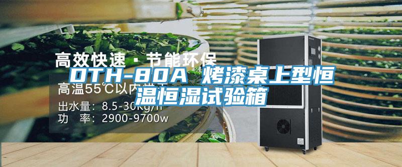 DTH-80A 烤漆桌上型恒溫恒濕試驗(yàn)箱