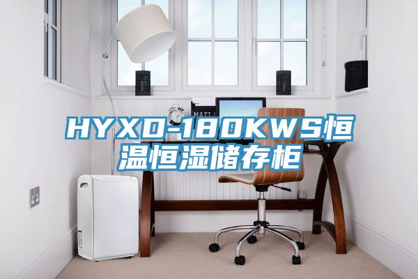 HYXD-180KWS恒溫恒濕儲存柜