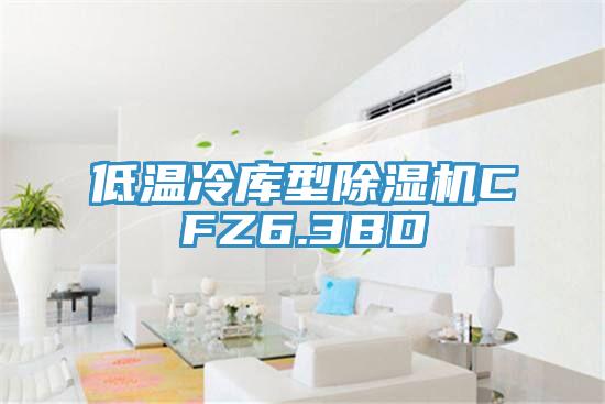 低溫冷庫型除濕機CFZ6.3BD