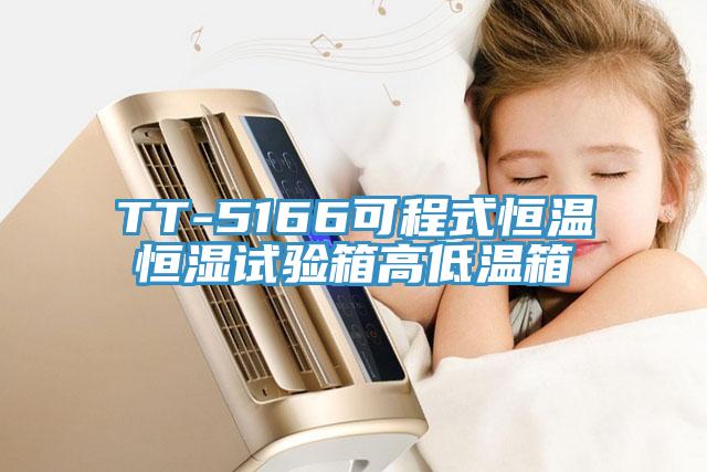 TT-5166可程式恒溫恒濕試驗(yàn)箱高低溫箱