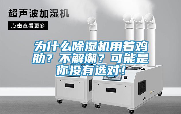 為什么除濕機(jī)用著雞肋？不解潮？可能是你沒有選對(duì)！