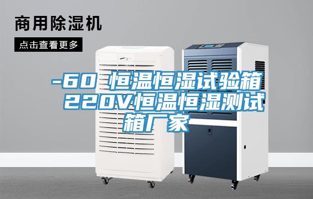 -60℃恒溫恒濕試驗(yàn)箱 220V恒溫恒濕測(cè)試箱廠家