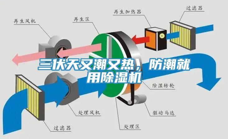 三伏天又潮又熱，防潮就用除濕機(jī)