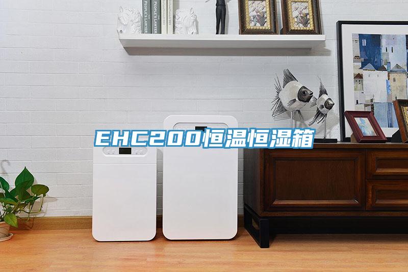 EHC200恒溫恒濕箱