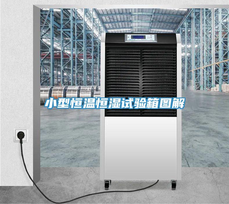 小型恒溫恒濕試驗箱圖解