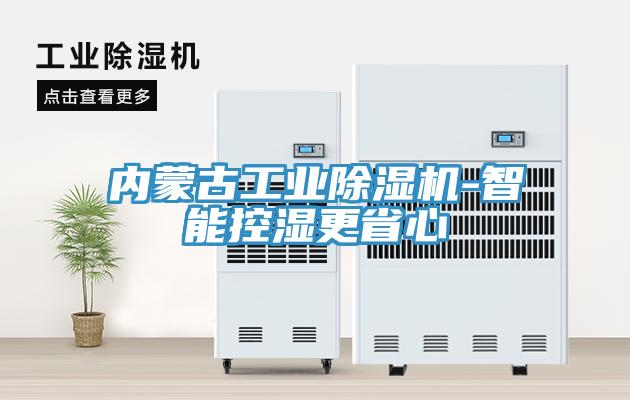 內(nèi)蒙古工業(yè)除濕機(jī)-智能控濕更省心