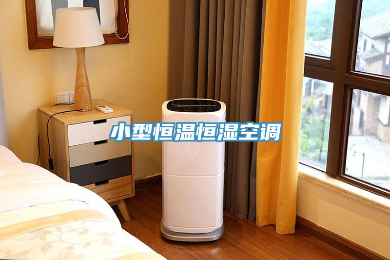 小型恒溫恒濕空調(diào)