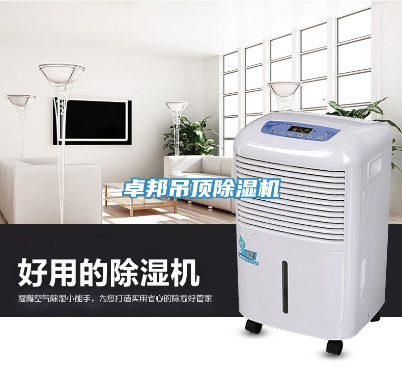 卓邦吊頂除濕機