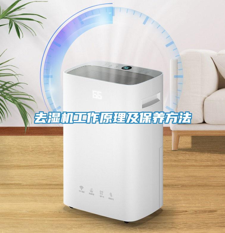 去濕機(jī)工作原理及保養(yǎng)方法