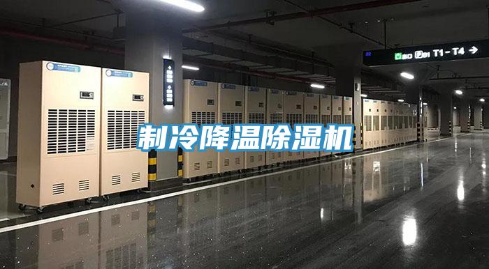 制冷降溫除濕機