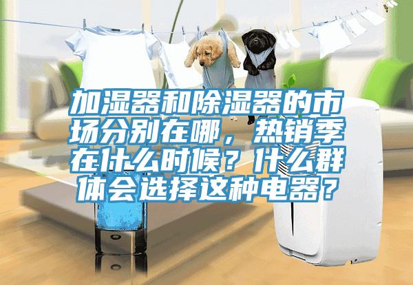 加濕器和除濕器的市場分別在哪，熱銷季在什么時候？什么群體會選擇這種電器？