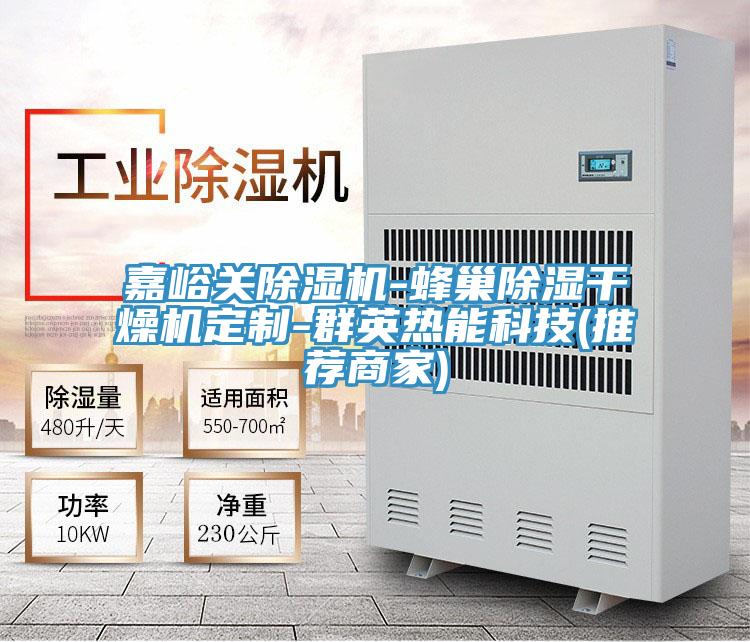 嘉峪關(guān)除濕機-蜂巢除濕干燥機定制-群英熱能科技(推薦商家)
