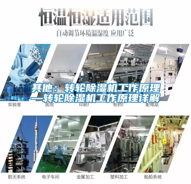 其他：轉(zhuǎn)輪除濕機(jī)工作原理—轉(zhuǎn)輪除濕機(jī)工作原理詳解
