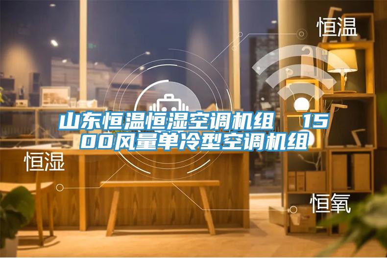 山東恒溫恒濕空調(diào)機組  1500風(fēng)量單冷型空調(diào)機組