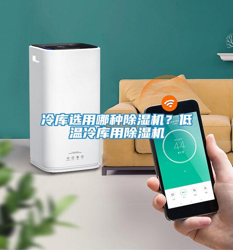 冷庫(kù)選用哪種除濕機(jī)？低溫冷庫(kù)用除濕機(jī)
