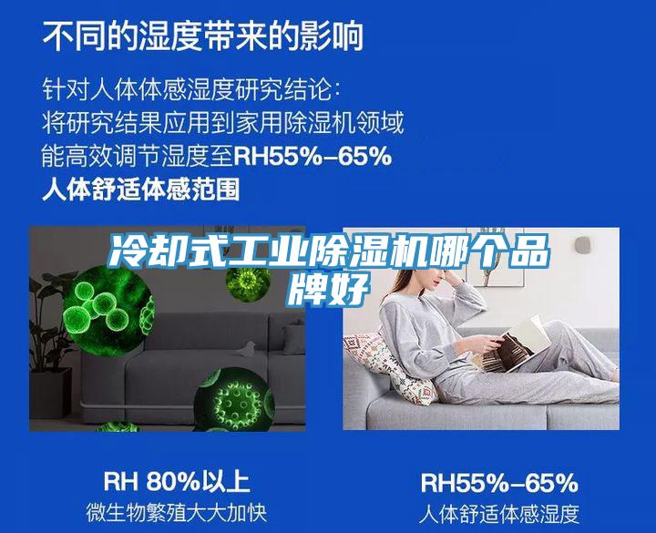 冷卻式工業(yè)除濕機(jī)哪個(gè)品牌好