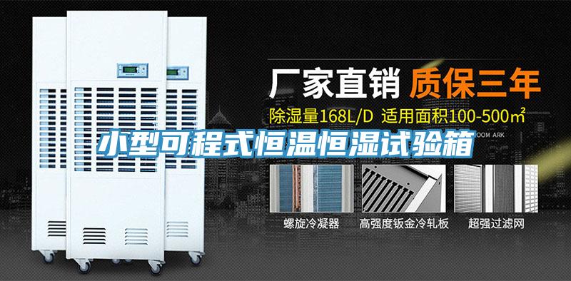 小型可程式恒溫恒濕試驗(yàn)箱