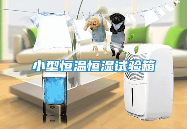小型恒溫恒濕試驗箱
