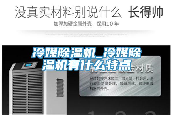 冷媒除濕機(jī)_冷媒除濕機(jī)有什么特點(diǎn)