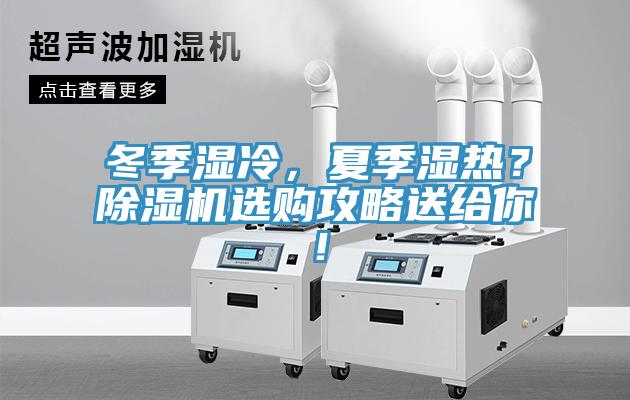 冬季濕冷，夏季濕熱？除濕機選購攻略送給你！
