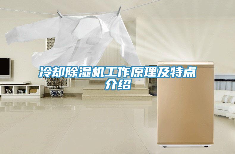 冷卻除濕機(jī)工作原理及特點(diǎn)介紹