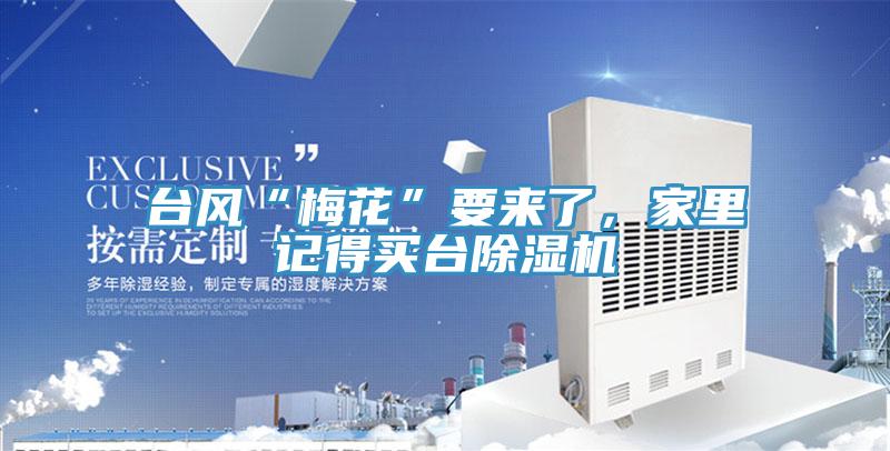 臺(tái)風(fēng)“梅花”要來(lái)了，家里記得買臺(tái)除濕機(jī)