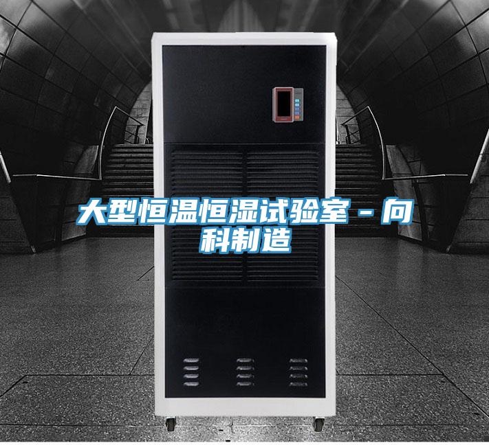 大型恒溫恒濕試驗(yàn)室－向科制造