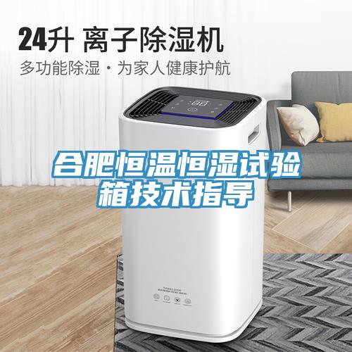 合肥恒溫恒濕試驗箱技術(shù)指導