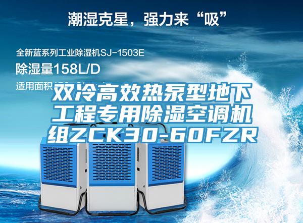 雙冷高效熱泵型地下工程專用除濕空調(diào)機(jī)組ZCK30-60FZR