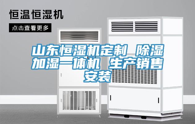 山東恒濕機定制 除濕加濕一體機 生產(chǎn)銷售安裝